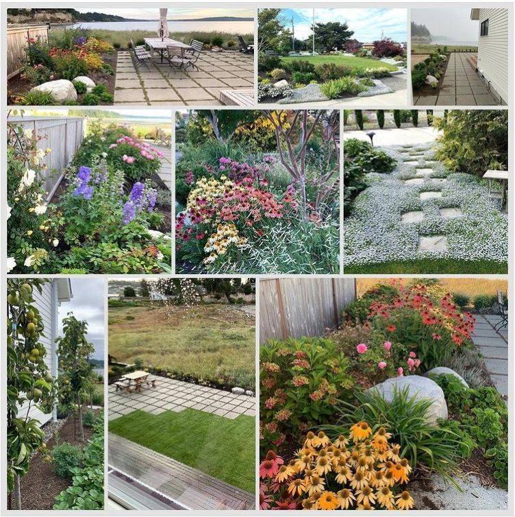 Waterfront garden before and after transformation
