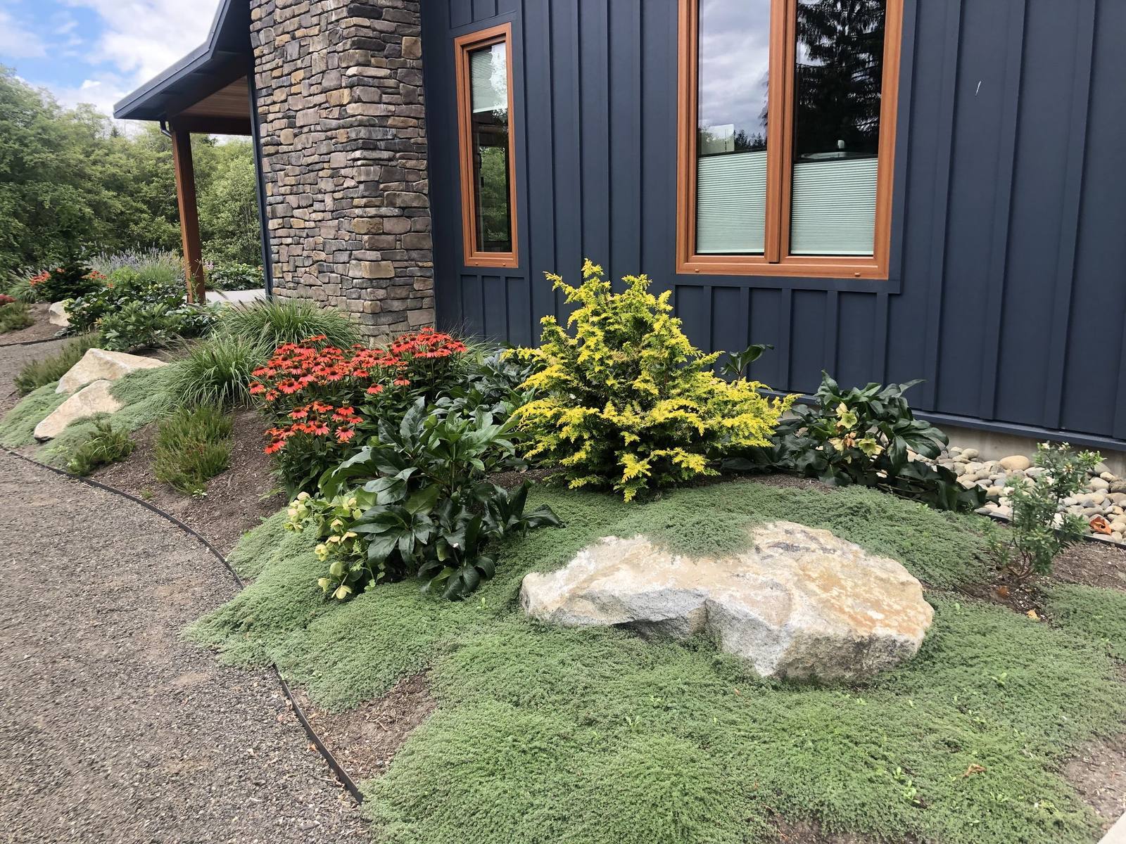 Textural planting of conifers, flowers, groundcover, and stone