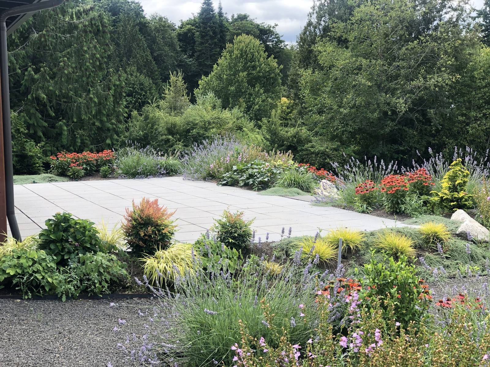 Flowering terrace garden framed by woodland