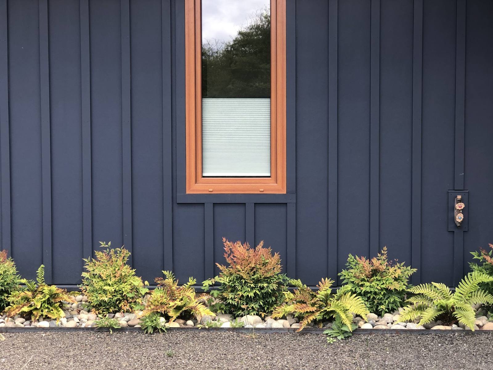 Fern and nandina planting beneath a warm wood-trimmed window