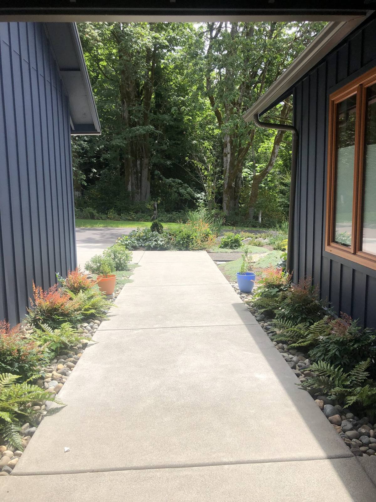Covered breezeway edged with ferns and river rock
