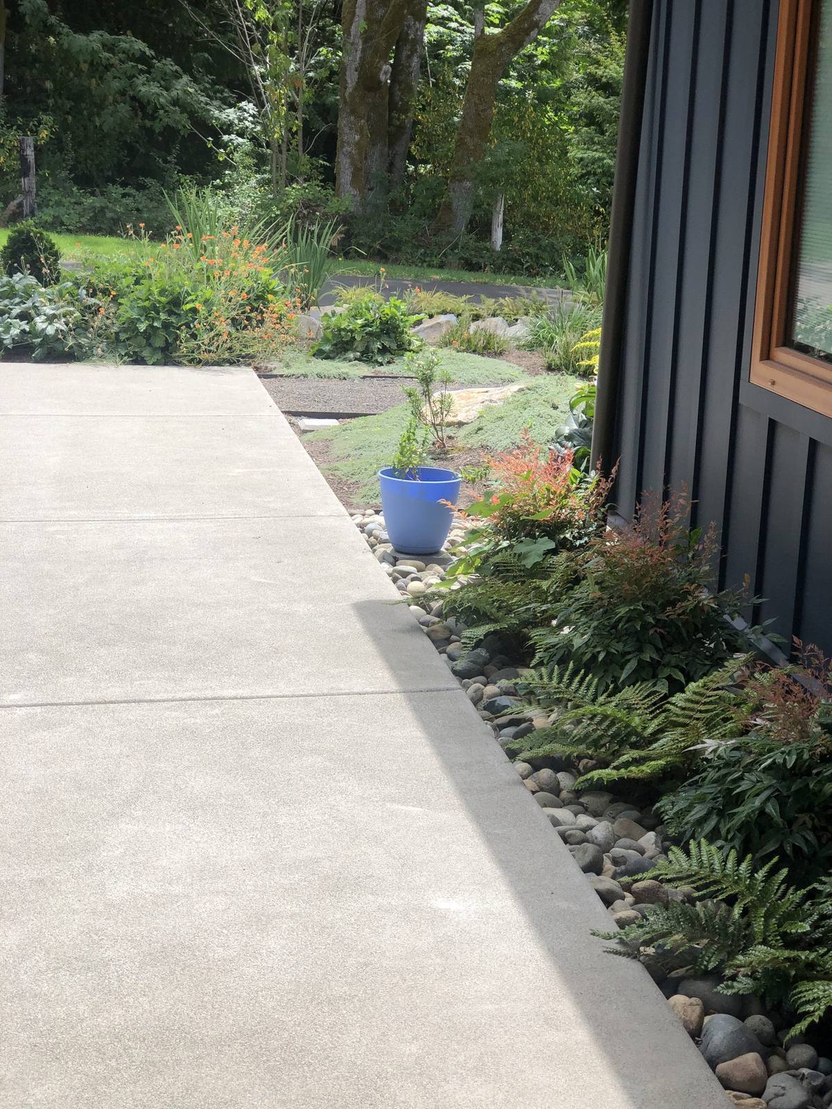 Fern-lined breezeway opening to the front garden