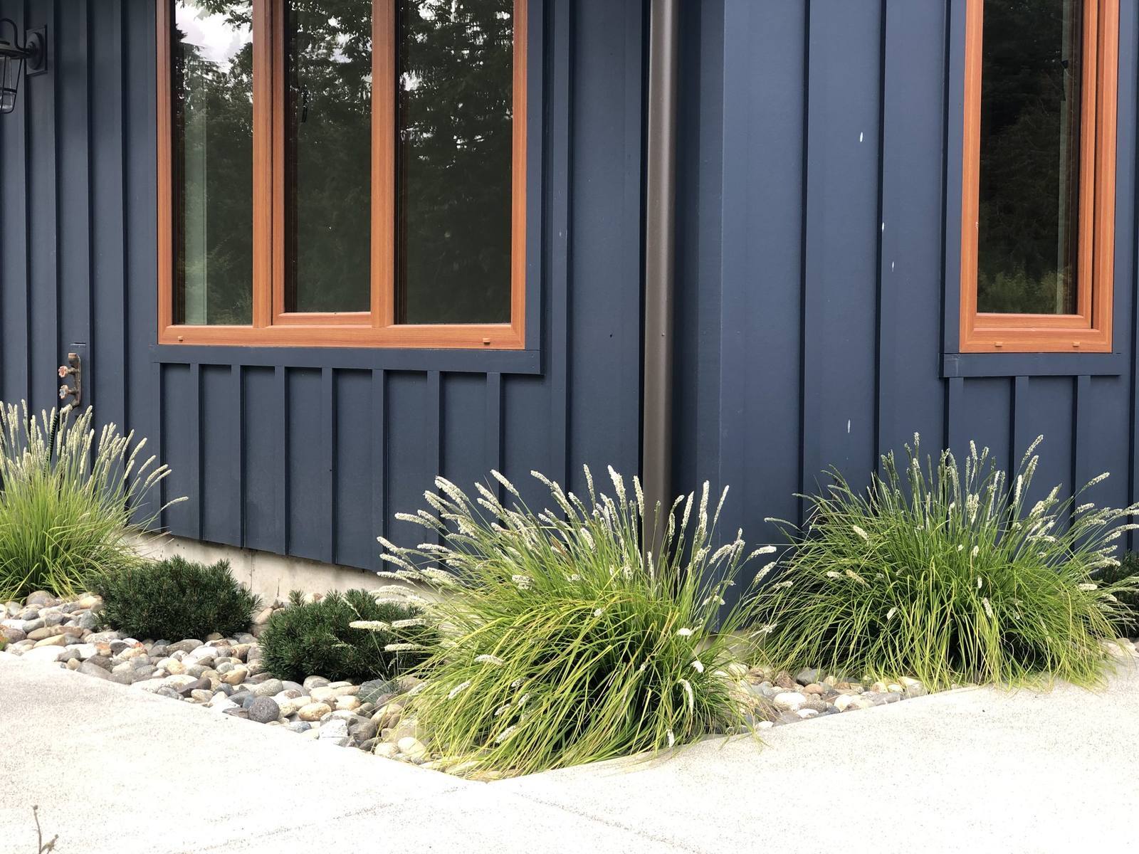 Ornamental grasses in river rock beside dark board-and-batten siding