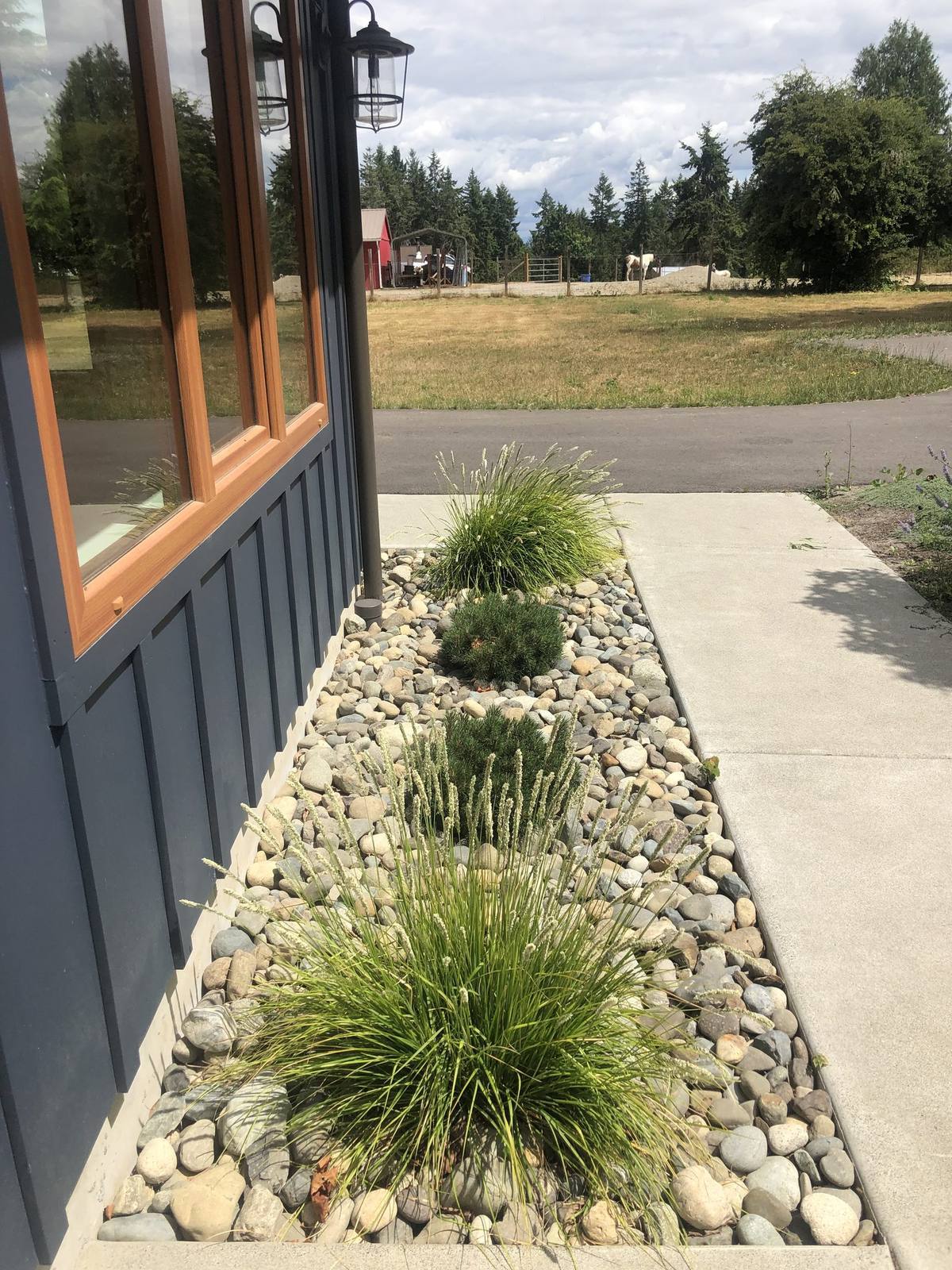 River-rock foundation planting with grasses and compact evergreens