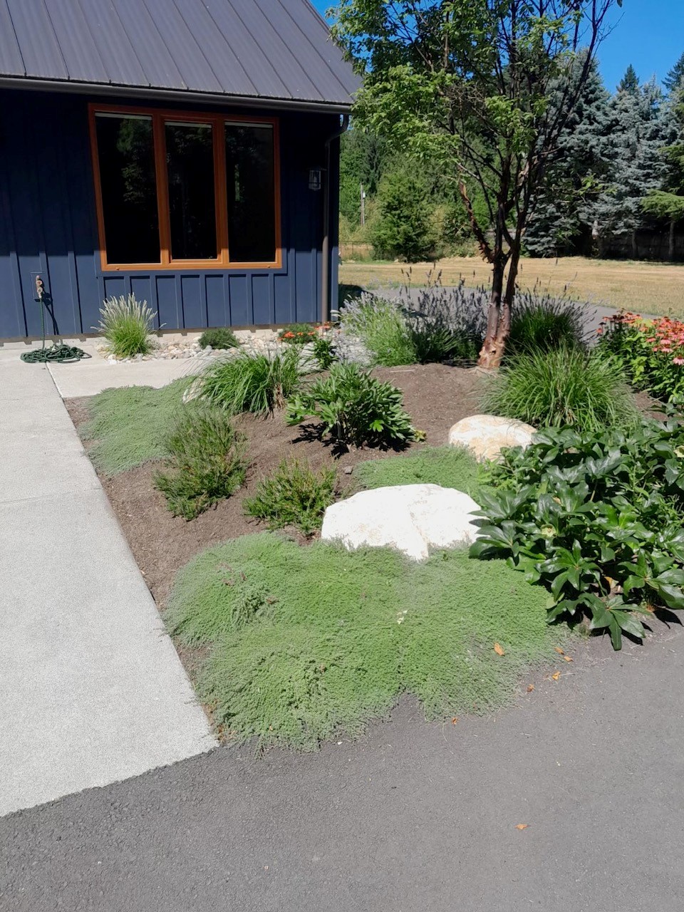 Stone, groundcover, grasses, and perennials beside the modern country home