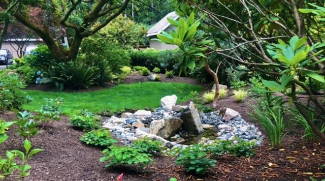 A small natural pond nestled among mature shrubs