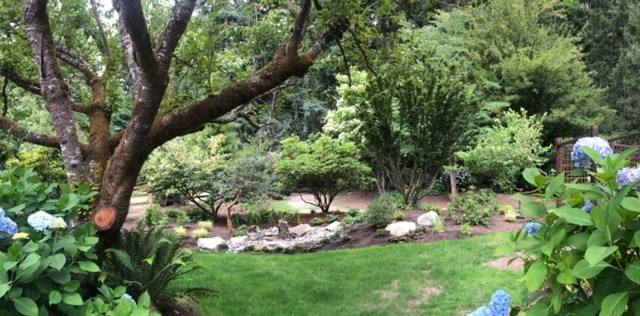 Green lawn framed by hydrangeas and a woodland garden