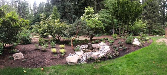 Broad view of a newly planted garden with a stone water feature