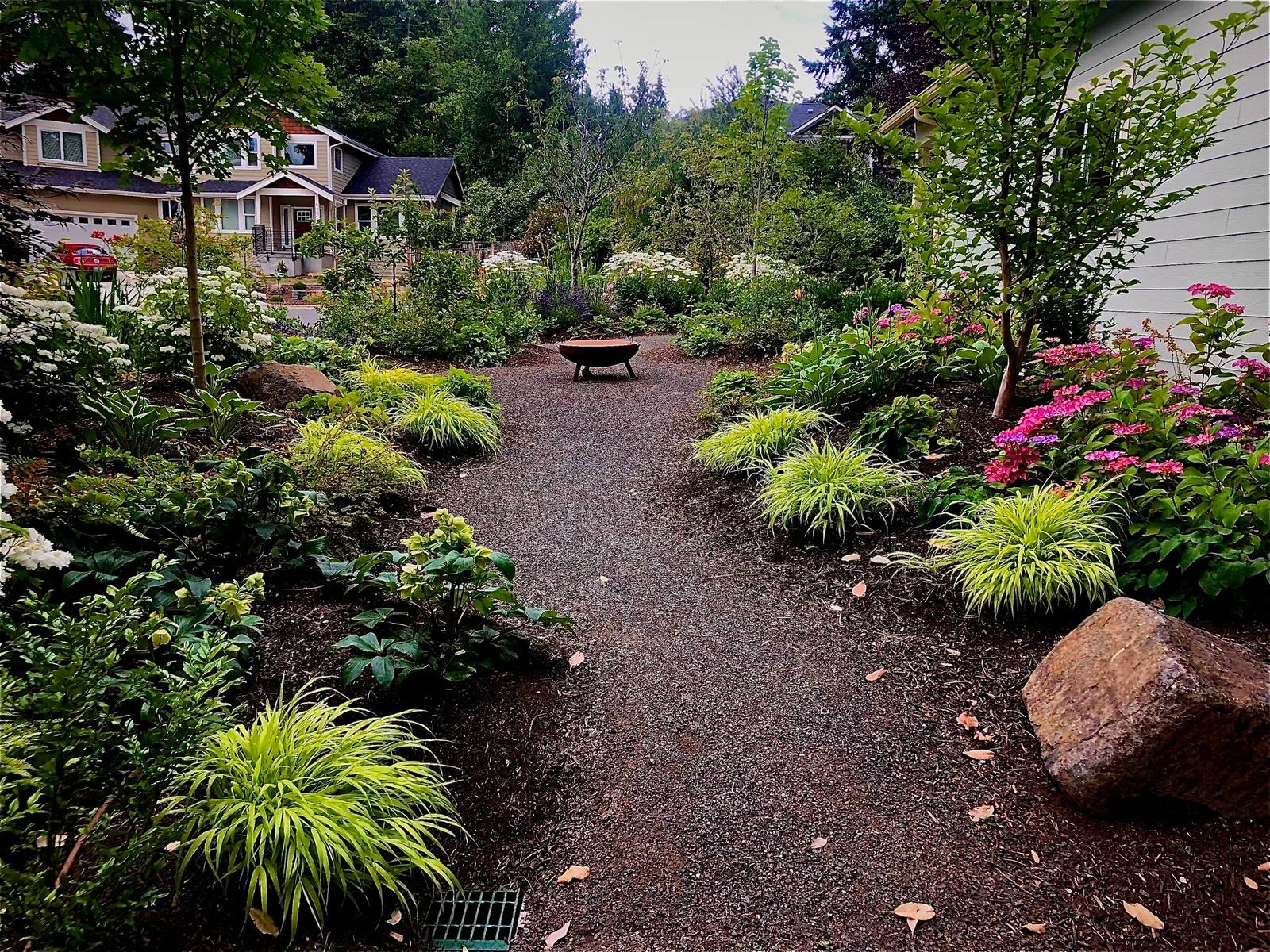 Gravel gathering space framed by ornamental grasses and hydrangeas