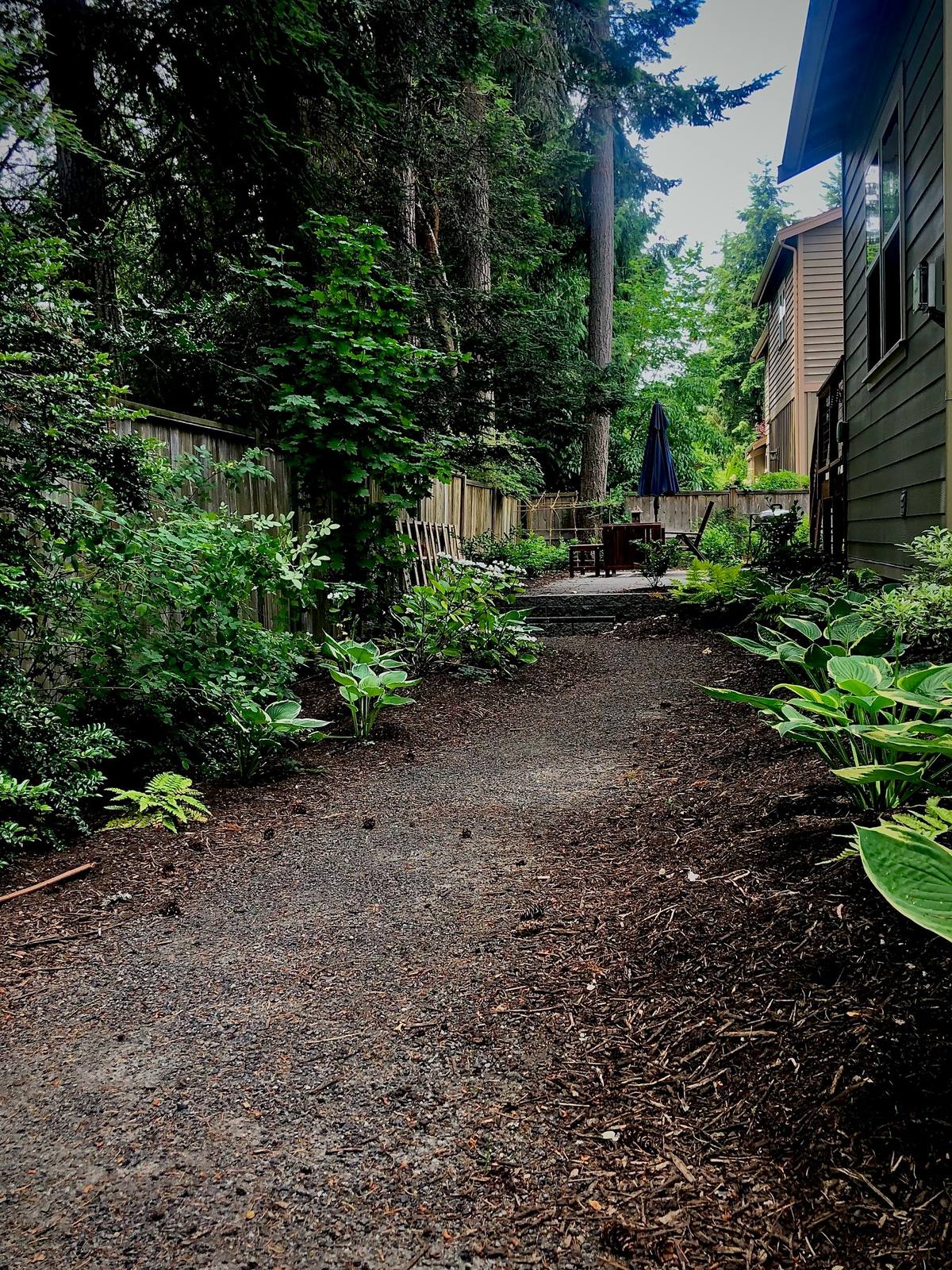Long shaded woodland path leading to a patio